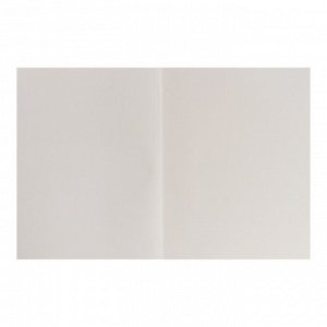 Скетчбук А5, 96 листов "Сова", твёрдая обложка, глянцевая ламинация, тиснение "лён", блок 100 г/м?