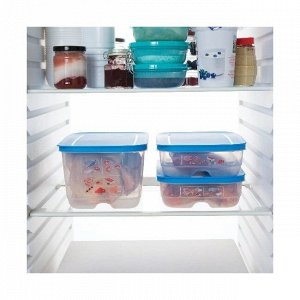 Умный холодильник для мяса и рыбы 4,4л 1шт - Tupperware®.