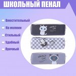 Пенал школьный &quot;Кот&quot; на молнии, цвет МИКС
