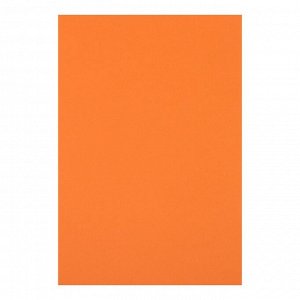 Calligrata Картон цветной двусторонний А4, тонированный в массе, 10 листов, 180 г/м2, оранжевый
