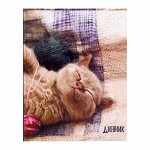 Дневник для 1-4 класса &quot;Котёнок&quot;, твёрдая обложка, глянцевая ламинация, 48 листов
