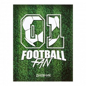 Дневник для 5-11 классов «Футбол», твёрдая обложка, глянцевая ламинация, 48 листов