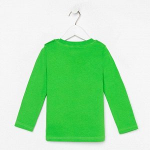 Джемпер (Лонгслив) для мальчика цвет зеленый, рост 104 см