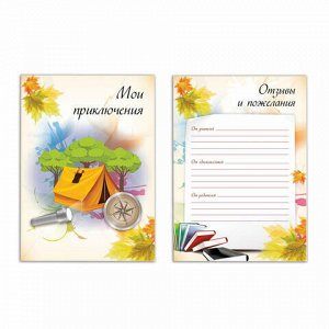 Листы-вкладыши для портфолио ШКОЛЬНИКА, 30 разделов, 32 листа, &quot;Моё портфолио&quot;, BRAUBERG, 127550