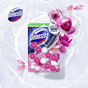 Domestos Power 5 Duo блок для унитаза Ледяная магнолия, защита от микробов и налета 2X55 гр