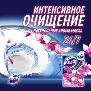 Domestos Power 5 Duo блок для унитаза Ледяная магнолия, защита от микробов и налета 2X55 гр