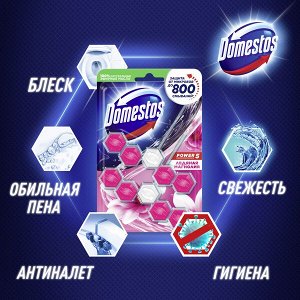 Domestos Power 5 Duo блок для унитаза Ледяная магнолия, защита от микробов и налета 2X55 гр