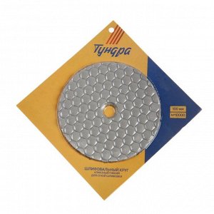 Алмазный гибкий шлифовальный круг ТУНДРА "Черепашка", для сухой шлифовки, 100 мм, № 10000