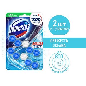 Domestos Power 5 блок для унитаза Свежесть океана, защита от микробов и налета 2х55 гр