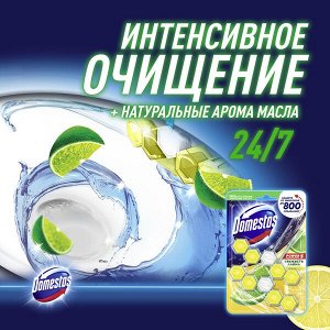 Domestos Power 5 блок для унитаза Свежесть лайма, защита от микробов и налета 2х55 гр