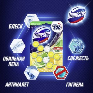 Domestos Power 5 блок для унитаза Свежесть лайма, защита от микробов и налета 2х55 гр