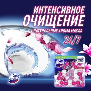 NEW ! 2+1 Domestos блок для очищения унитаза POWER 5 TRIO ЛЕДЯНАЯ МАГНОЛИЯ 3X55 гр