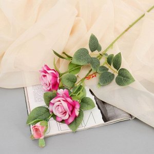 Цветы искусственные "Роза Вестерленд" d-6 см 60 см ярко-розовый