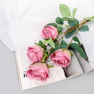 Цветы искусственные "Роза Блю Парфюм" d-5 см 60 см, тёмно-розовый