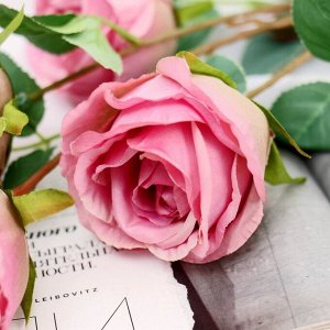 Цветы искусственные "Роза Блю Парфюм" d-5 см 60 см тёмно-розовый