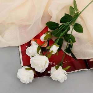 Цветы искусственные "Роза Глория Дей" d-4 см 75 см белый
