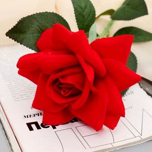 Цветы искусственные "Роза Пьер де Ронсар" d-11 см 60 см ярко-красный