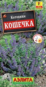 Котовник Кошечка