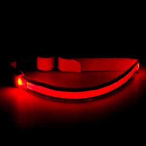 Пижон Ошейник с подсветкой, 3 режима свечения и двумя светоотражающими полосами, красный, XL, 2,5 х 45-50 см