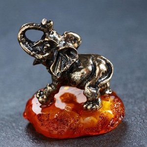 Сувенир "Слон", 4,5х5 см, латунь, янтарь