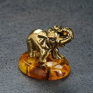 Сувенир "Слон", 4х3,5 см, латунь, янтарь