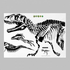 Наклейка пластик интерьерная чёрная "Тиранозавр" 50х70 см