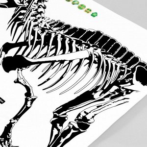 Наклейка пластик интерьерная чёрная "Тиранозавр" 50х70 см