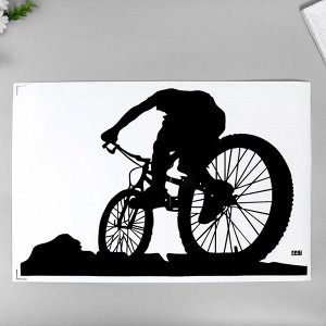 Наклейка пластик интерьерная цветная "Велосипедист стритрейсер" 40х57 см