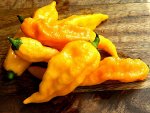 Острый перец Bhut Jolokia Yellow