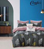 КПБ Candie&#039;s PURE CANPU029