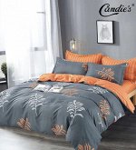 КПБ Candie&#039;s PURE CANPU002