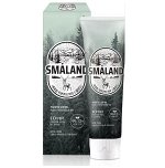 Зубная паста DC 2080 SMALAND ФОРЕСТ 100г