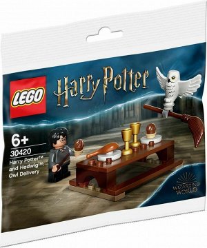 Конструктор LEGO Harry Potter Гарри Поттер и Букля (30420) _стр., 150х150 мм, Пакет