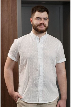 Рубашка мужская арт. 0205 хлопок белый