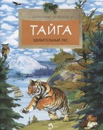 Тайга. Удивительный лес. Александр Ткаченко. 24стр., 270х210х2мм, Мягкая обложка