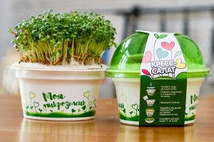 Набор для выращивания «моя микрозелень» кресс-салат