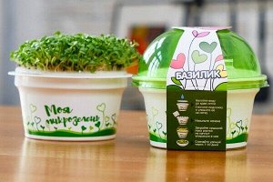 Набор для выращивания «моя микрозелень» базилик