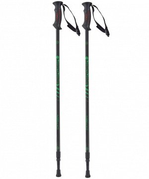 УЦЕНКА Скандинавские палки Oxygen, 77-135 см, 2-секционные, черный/зеленый