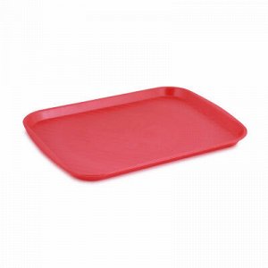 Поднос 48*36см, 10