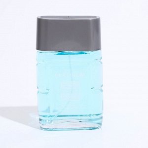 Туалетная вода мужская Platinum Water (Платинум Вотер) , 100ml