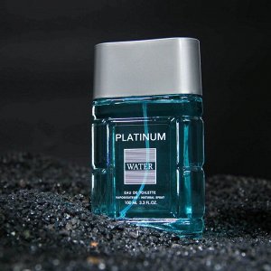 Туалетная вода мужская Platinum Water (Платинум Вотер) , 100ml