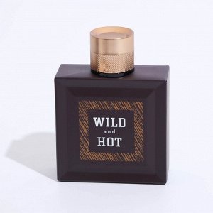 Туалетная вода мужская Wild And Hot, 100 мл