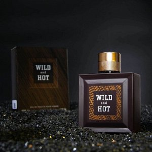 Туалетная вода мужская Wild And Hot, 100 мл