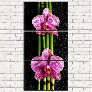 Модульная картина Орхидея на черном арт. 3-1