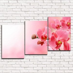 Модульная картина Нежная розовая орхидея арт. 3-1
