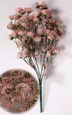Репейник в цвету куст 35 см цвет розовый