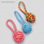 Игрушка канатная &quot;Мяч с петлей&quot;, до 65 гр, микс цветов