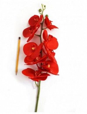 Орхидея Фаленопсис красный 100 см