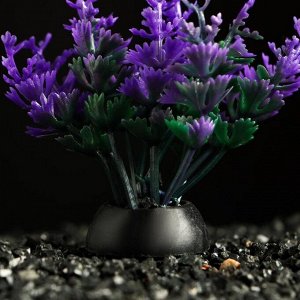 Растение искусственное аквариумное, 5 см, фиолетовое