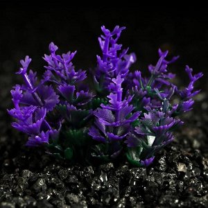 Растение искусственное аквариумное, 5 см, фиолетовое